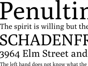 tipografía gratis con serifa poly